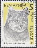 Colnect-819-993-European-Domestic-Cat-Felis-silvestris-catus.jpg