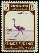 Colnect-1633-840-Ostrich-Struthio-camelus.jpg
