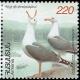 Larus_armenicus_stamp.jpg