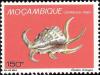 Colnect-1116-443-Chiragra-Spider-Conch-Lambis-chiragra.jpg