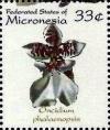 Colnect-5576-755-Oncidium-phalaenopsis.jpg