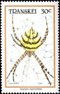 Colnect-5966-052-Garden-Spider-Argiope-nigrovittata.jpg