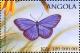 Colnect-2245-903-Green-Underside-Blue-Glaucopsyche-alexis.jpg