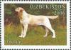 Colnect-831-820-Labrador-Retriever-Canis-lupus-familiaris.jpg