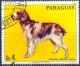 Colnect-2321-624-Cocker-Spaniel-Canis-lupus-familiaris.jpg