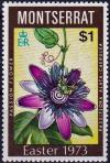 Colnect-3924-340-Passiflora-alatacaerulea.jpg