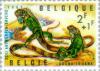 Colnect-184-711-Green-Iguana-Iguana-iguana.jpg