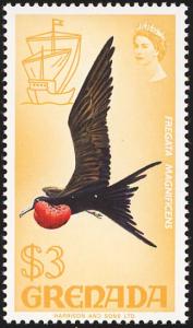 Colnect-4451-458-Magnificent-Frigatebird-Fregata-magnificens.jpg