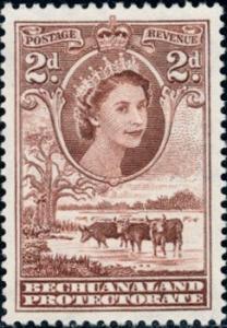 Colnect-2019-956-Queen-Elizabeth-II-Cattle-Bos-primigenius-taurus.jpg