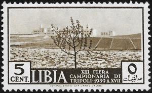 Colnect-3632-998-XIII-Tripoli-Market.jpg