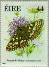 Colnect-128-787-Marsh-Fritillary-Euphydryas-aurinia.jpg