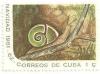 Colnect-1726-386-Cuban-Land-Snail-Polymita-picta-fuscolimbata.jpg