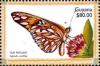 Colnect-3460-493-Gulf-fritillary-Agraulis-vanillae.jpg