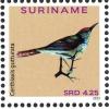 Colnect-3837-174-Speckled-Spinetail%C2%A0%C2%A0%C2%A0%C2%A0Cranioleuca-gutturata.jpg