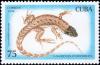 Colnect-5505-483-Mountain-Curlytail-Lizard--Leiocephalus-raviceps.jpg