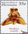 Colnect-5576-751-Maxillaria-variabilis.jpg