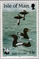 Colnect-124-738-Black-Guillemot-Cepphus-grylle.jpg