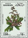 Colnect-1741-896-Limonium-axillare.jpg
