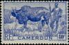 Colnect-582-301-Zebu-Bos-primigenius-indicus-Herdsman.jpg