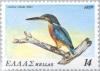 Colnect-174-345-Common-Kingfisher-Alcedo-athis.jpg