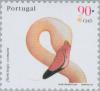 Colnect-181-900-Greater-Flamingo-Phoenicopterus-roseus.jpg