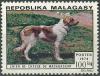 Colnect-2155-744-Madagascan-Hunting-Dog-Canis-lupus-familiaris.jpg