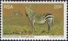 Colnect-3058-076-Cape-Mountain-Zebra-Equus-zebra-zebra.jpg