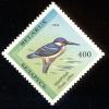 Colnect-3572-762-Common-Kingfisher-Alcedo-atthis.jpg
