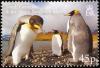 Colnect-4571-627-King-Penguin-Aptenodytes-patagonicus.jpg