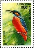 Colnect-2688-195-Common-Kingfisher-Alcedo-atthis.jpg
