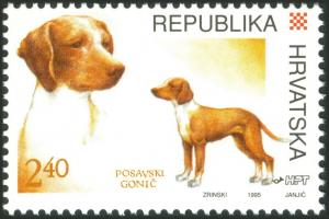Colnect-5636-924-Posavinian-Hunting-Dog-Canis-lupus-familiaris.jpg