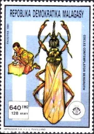 Colnect-5857-988-Long-Nec-Stink-Bug-Cocles-contemplator.jpg