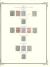 WSA-India-Jhind-1885-86.jpg