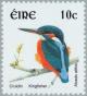 Colnect-129-889-Common-Kingfisher-Alcedo-atthis.jpg