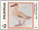 Colnect-2859-162-Philippine-Duck-Anas-luzonica.jpg