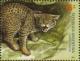 Colnect-3348-254-Mountain-Cat-Felis-geoffroyi.jpg