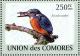 Colnect-3669-391-Common-Kingfisher-Alcedo-atthis.jpg