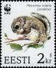 Colnect-4816-986-Sibirian-Flying-Squirrel-Pteromys-volans.jpg