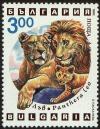 Colnect-4413-048-Lion-Panthera-leo.jpg