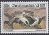 Colnect-1720-147-Little-Nipper-Geograpsus-grayi-.jpg