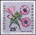 Colnect-3800-908-Ipomoea-batatas.jpg