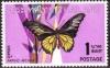 Colnect-484-218-Golden-Birdwing-Troides-aeacus.jpg