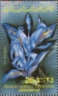 Colnect-5436-771-Iris-histriodes.jpg