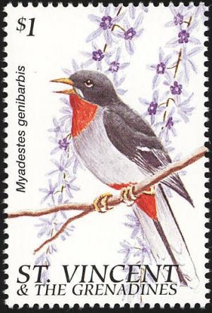 Colnect-1758-916-St-Vincent-Solitaire-Myadestes-genibarbis-sibilans.jpg