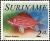 Colnect-4977-819-Crowned-Squirrelfish-Adioryx-diadema-.jpg