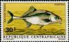 Colnect-1055-405-Elephantfish-Marcusenius-wilverthi.jpg