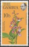 Colnect-1653-712-Eulophia-guineenis---Broad-Leaved-Ground-Orchid.jpg