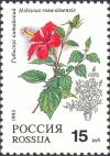Colnect-2811-279-Hibiscus-rosa-sinensis.jpg