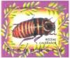 Colnect-5056-674-Hissing-Cockroach.jpg