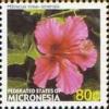 Colnect-5661-751-Hibiscus-rosa-sinensis.jpg